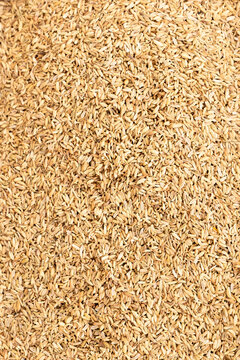 Full frame background pattern of organic zira cumin seeds. Top view abstract texture of aromatic oriental spice, perfect for food design layouts