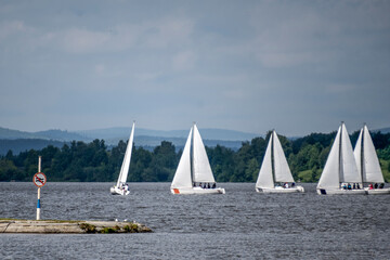 Fototapeta premium Training of young yachtsmen on a pond on a summer day