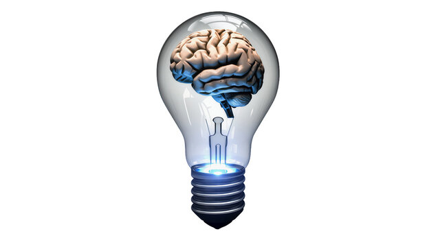 Human brain inside a glowing light bulb, isolated on transparent background