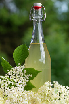 Vertical close up of a flip-top glass bottle filled with homemade elderflower syrup or juice, decorated with fresh elderberry blossoms and leaves.