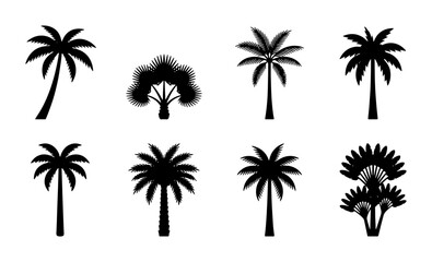 Naklejka premium Collection of different palm tree silhouettes, tropical plants Vector