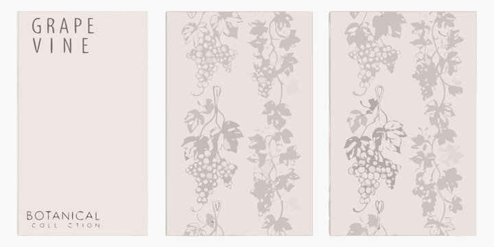 Grape vine botanical illustration set on a pale beige background featuring repeating patterns vitis vinifera