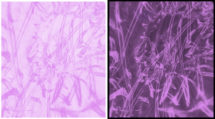 Purple abstract botanical pattern, ethereal violet floral texture background, dreamy lavender plant silhouettes for creative design and wallpaper © Anamul