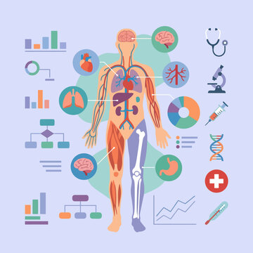Medical infographic showing human anatomy and health data