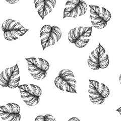 seamless pattern palm monstera leaf hand drawn. silhouette line, vector texture, jungle plant palm monstera leaf black sketch illustration © PikePicture