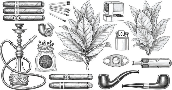 Tobacco and Smoking Accessories Vector Set with Vintage Cigars, Hookah, Smoking Pipes, Lighter, Matches, and Detailed Fresh Green Tobacco Leaves