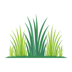 Fototapeta premium Green grass illustration on transparent background