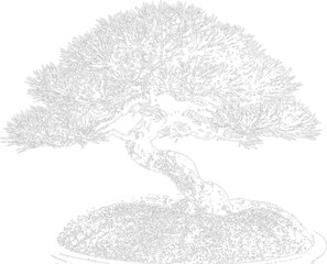 Fototapeta premium Stylized outline of a bonsai tree with a curved trunk and a rounded canopy of needles keywords