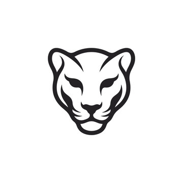 Black and white big cat face.