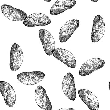 seamless pattern organic brazil nut hand drawn. snack group, diet natural, delicious fresh organic brazil nut black sketch illustration