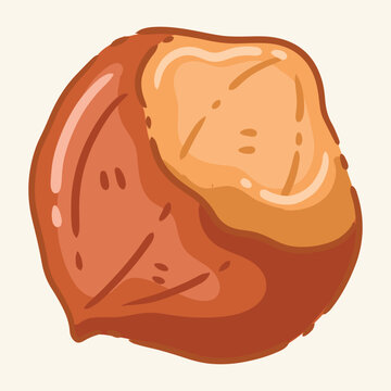 Cute hazelnut cartoon illustration isolated