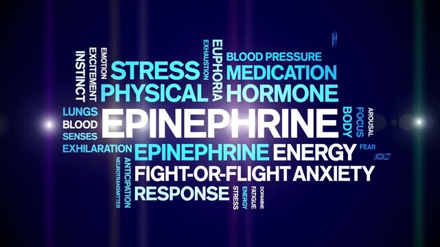 Epinephrine animated word cloud-text design animation tag kinetic typography seamless loop.