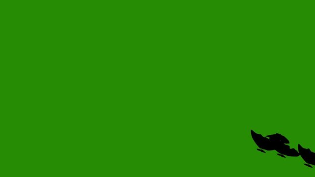Butterfly Silhouette Green Screen Animation