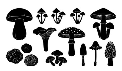 Boletus and porcini mushroom silhouettes vector set © MdToufik
