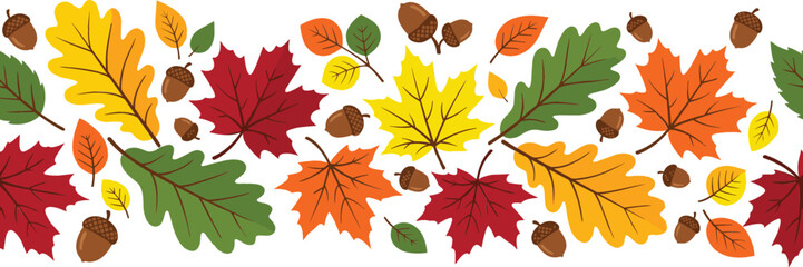 Seamless Autumn Foliage Border Vector Design with Colorful Maple Leaves, Oak Leaves, and Acorns for Thanksgiving Invitations, Banners, and Fall Festival Backgrounds © MdSaddam