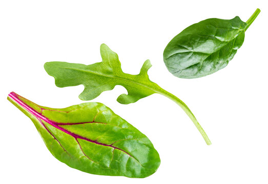 Flying salad leaves isolated on white background. Mix of salad leafes levitating  in air. Detox food. Top view. Flat lay