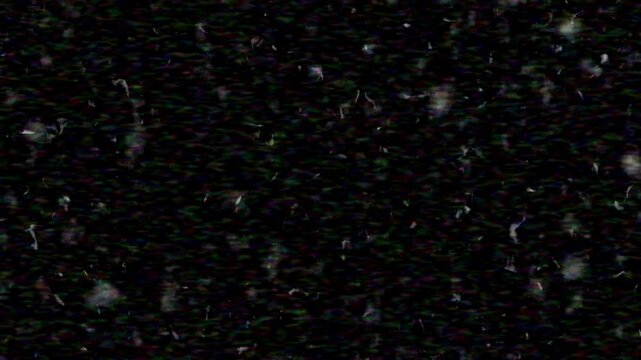Electromagnetic Broadcast Signal Distortion Emulating Monochrome Television Snow And VHS Tube Noise Aesthetic
