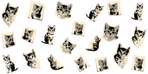 Collage Of Kitten Illustrations With Rounded corner Beige Backgrounds © SagoriRani