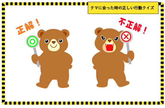 クマのキャラクターがマルとバツの看板を持つイラストセット クイズ 正解 不正解 熊