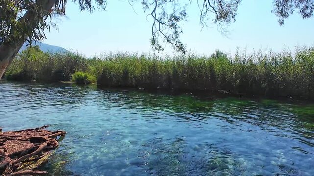 Azmak River in Akyaka village of Mugla. Cold water during the hot summer season. A popular tourist destination. Landscape. 4k horizontal video. No people, nobody. 