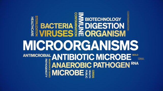 Microorganisms animated word cloud-text design animation tag kinetic typography seamless loop.