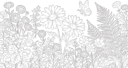 Fototapeta premium Hand Drawn Wildflower Meadow Vector Illustration with Daisies Ferns Butterflies and Botanical Garden Elements
