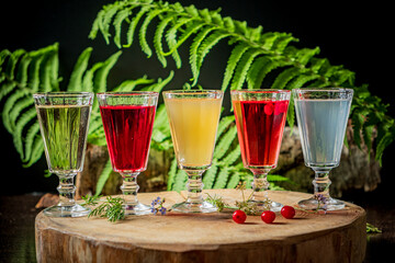 Obraz premium Colorful shots arranged on a wooden table amidst lush ferns creating a vibrant, natural scene