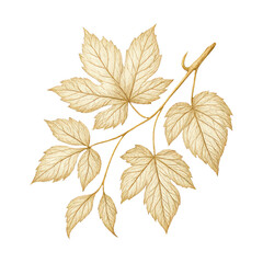 Obraz premium PNG Elegant golden leaves on black