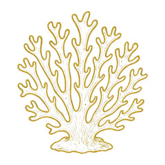Obraz premium PNG Vintage coral illustration art