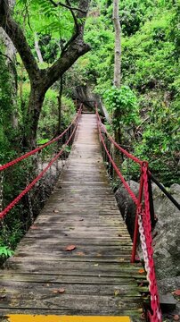 Wooden suspension bridge with red ropes in tropical jungle forest. Adventure hiking trail and eco-tourism concept for nature park infrastructure and outdoor activity.
