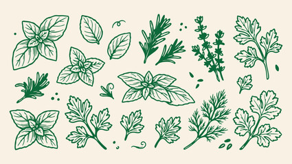 fresh aromatic herbs culinary pattern, organic green garden spice background, herbal leaves culinary art illustration, organic cooking spice herb print, hand drawn kitchen spice icons, fresh culinary  © Geetaroy