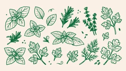 fresh aromatic herbs culinary pattern, organic green garden spice background, herbal leaves culinary art illustration, organic cooking spice herb print, hand drawn kitchen spice icons, fresh culinary  © Geetaroy
