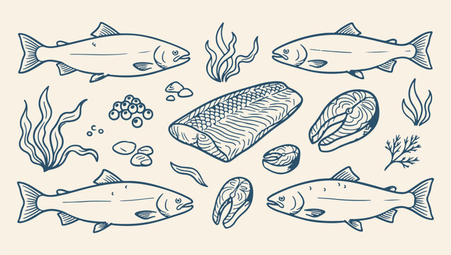 fresh atlantic salmon fish pattern, raw fish meat background, healthy seafood food illustration, salmon fillet fish print, artistic seafood food set, decorative fresh fish design, culinary fish sketch