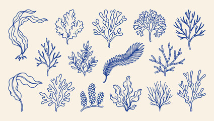 marine coral reef life pattern, underwater sea nature background, artistic coral reef illustration, ocean marine life print, decorative coral reef set, natural sea life design, coral reef sketch graph © Geetaroy