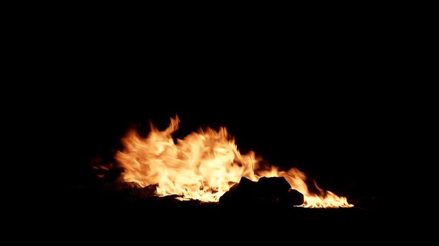 Bright bonfire flames burning in the dark night outdoors