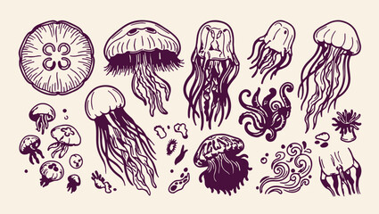 jellyfish marine life aquatic pattern, ocean medusa creature hand illustration, beautiful sea jellyfish background, wild aquatic creature nature print, artistic jellyfish wildlife set, decorative mari © Geetaroy