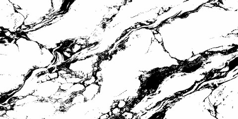 Obraz premium Luxury White Marble Texture with Bold Black Veins Premium Natural Stone Background.