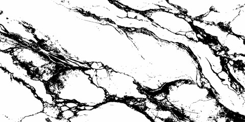 Fototapeta premium Luxury White Marble Surface with Strong Black Veins Premium Stone Texture Background.
