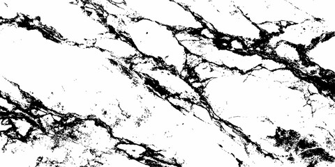 Obraz premium Modern White Marble Background with Natural Black Veins Premium Luxury Stone Texture.