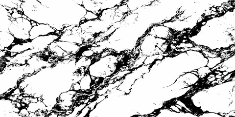 Obraz premium Elegant White Marble Background with Rich Black Veining Luxury Stone Surface Texture.
