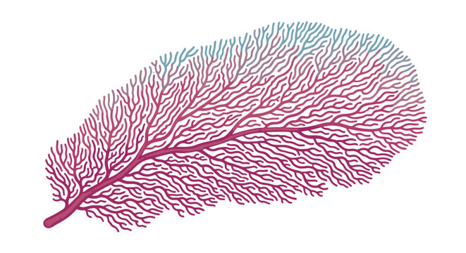 Beautiful gorgonia sea fan coral illustration with intricate branching patterns isolated on a white background for marine designs.