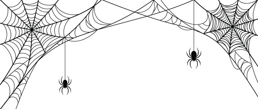 Halloween Spider Web Border with Hanging Spiders Vector Illustration