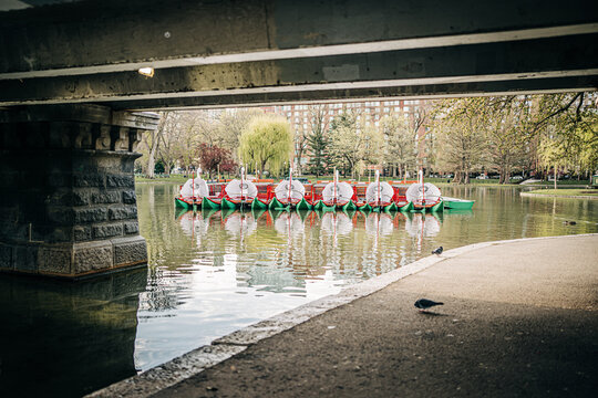 Boston public garden swan boats docked under bridge