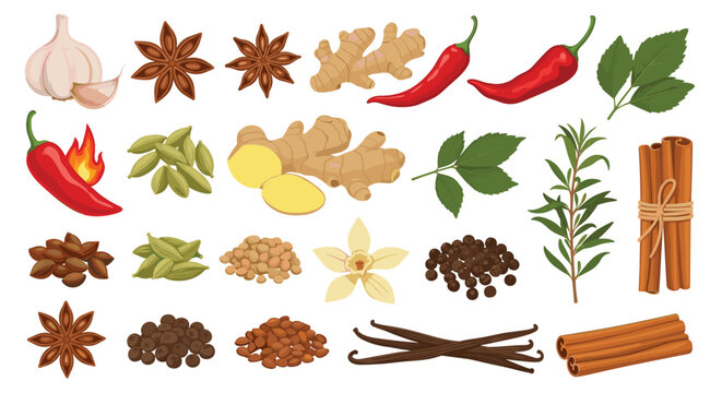 Diverse assortment of culinary spices and aromatic herbs including chili garlic ginger cinnamon and vanilla pods on white.