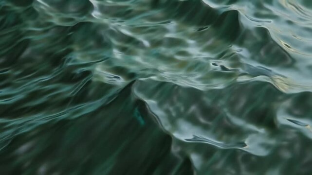 Fluid curves continuously morph and evolve in a seamless loop, generating a sophisticated futuristic aesthetic. Minimalist luxury design