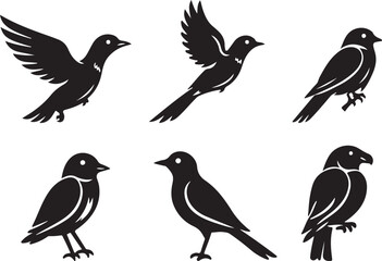 Fototapeta premium Set of black bird silhouettes in various poses