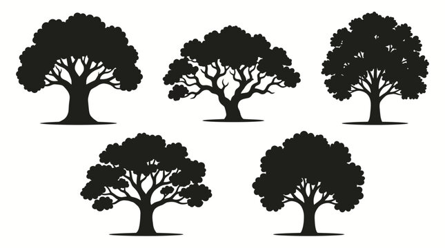Collection of Black Oak Tree Silhouettes on White Background