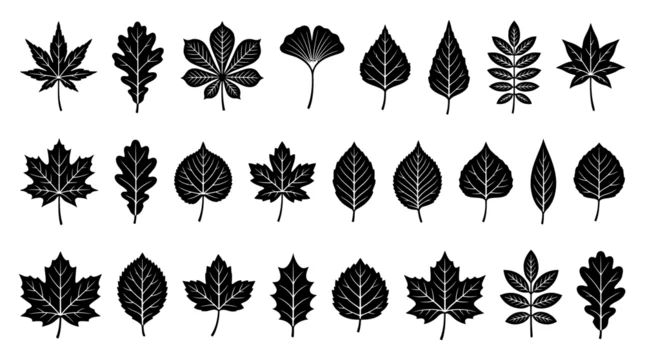 Set of black tree leaf silhouettes and botanical foliage icons on white
