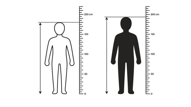 Human Figures with Measurement Scales