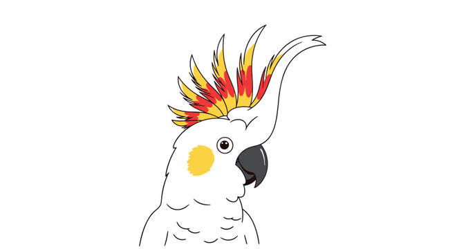 Close up illustration of a white cockatoo head featuring a vibrant yellow cheek patch and a stunning red and yellow feathered crest.